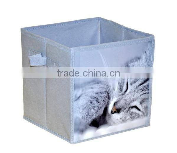 Hot Selling Best Price Front PP Printing Kids Storage Box