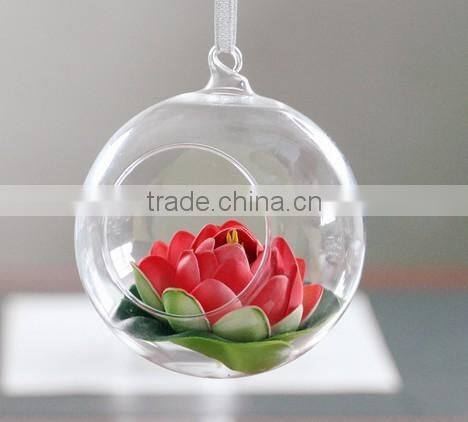 Air Plant Glass Terrarium, Handblown Glass Terrarium