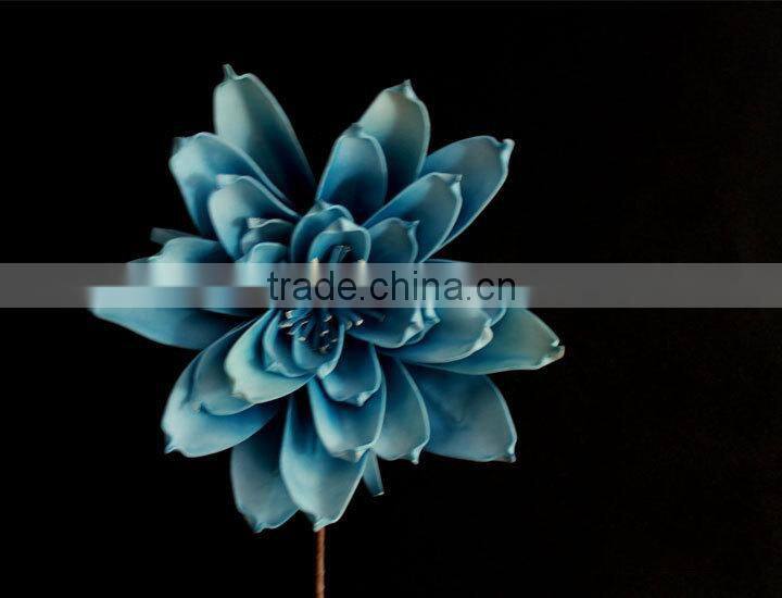 wholesale alibaba large indoor tropical plants