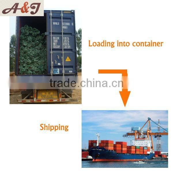 30mm Dia. shovel and rake wood stick for garden used