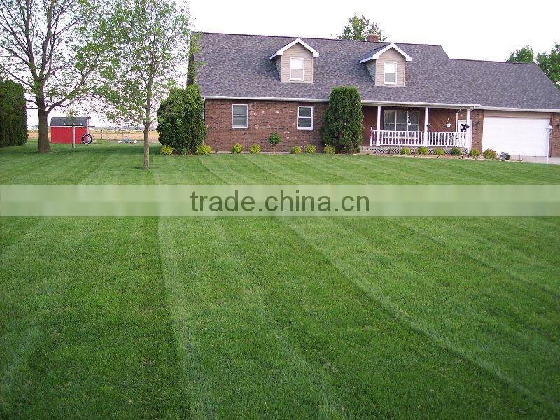 Jiangsu Manufacturer supply fake turf cheap artificial grass carpet for kindergarten
