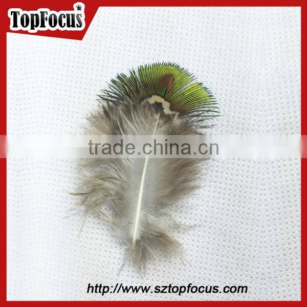 hot sale designer indian cheap natural artificial peacock feathers
