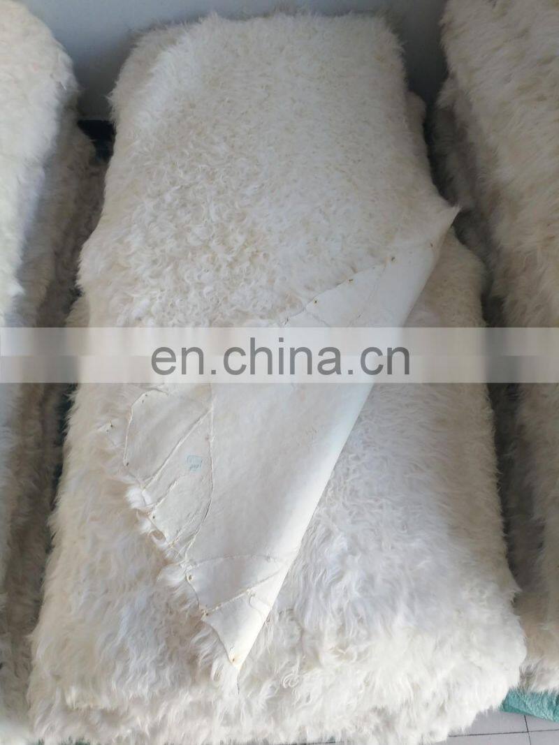 design real rex rabbit fur skin pelts plate