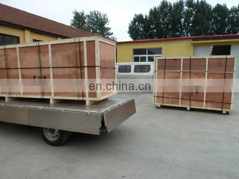 Surfing type vegetable washing machine| stainless steel fruit and vegetable washing machine with CE