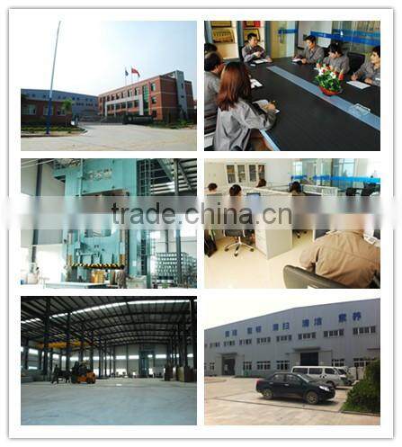 Roof skylight/ FRP skylight roofing /FRP Skylight panel