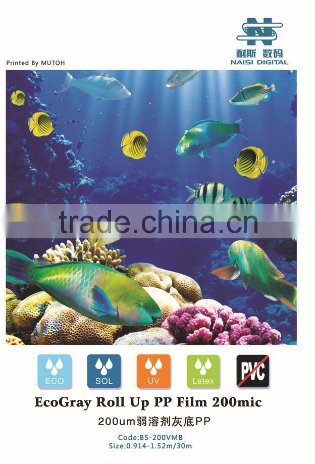 Economic PP grey back roll up media 200mic