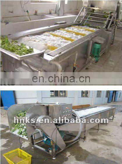 Automatic fruit washing machine for apple cherry eggplant
