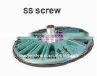 supply SS dental screw (hot sell)