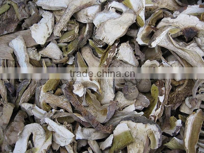 High quality boletus magic dried mushroom slices from yunnan