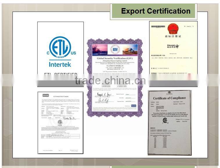 Europe style antiqued led outdoor pendant light