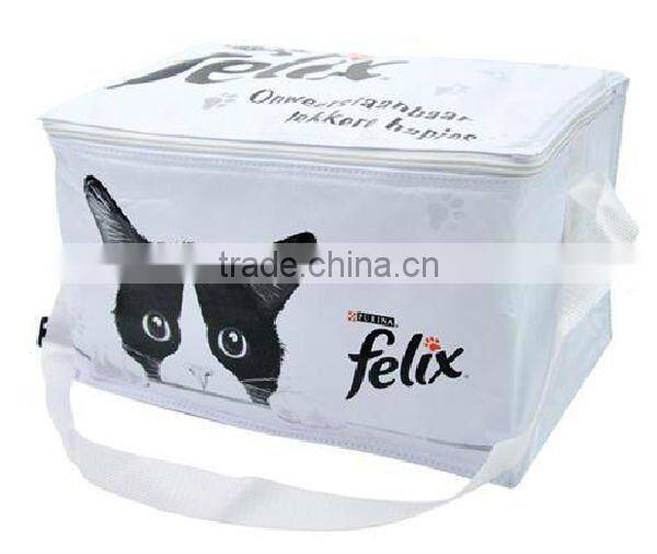 cooler bag for frozen food