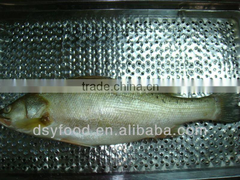 Frozen Seabass Fillet on sale