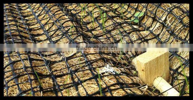Green nets for grass growing and construction use