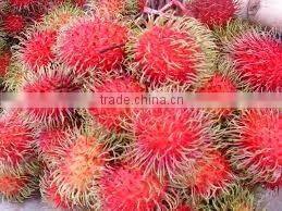 Organic fresh Rambutan fruit