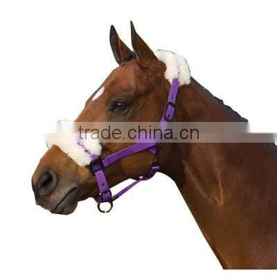 Horse Head collar