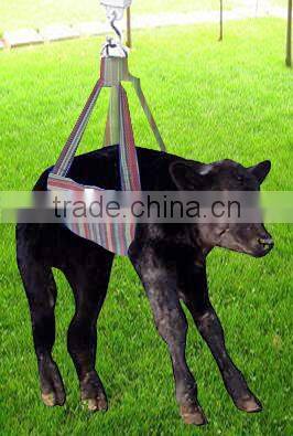 Calf Weighing Sling