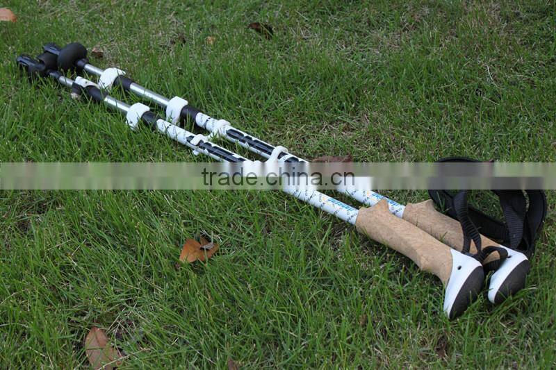 preferred folding skiing pole