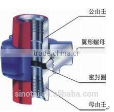 Hammer Union