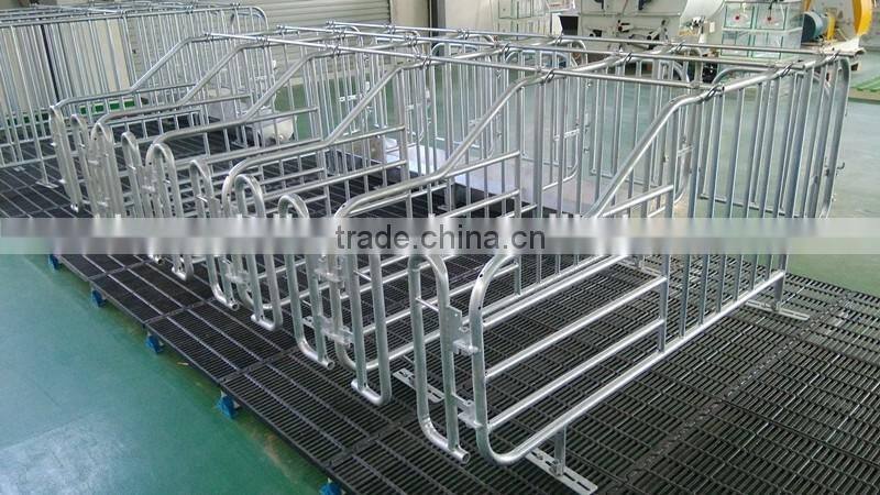 pig raising equipment and its price in