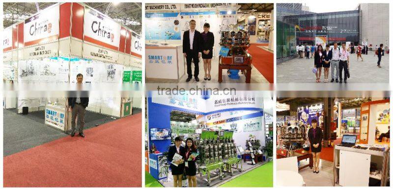 Automatic Wheat Flour or Milk Powder Weight Packing Machine With CE Approve