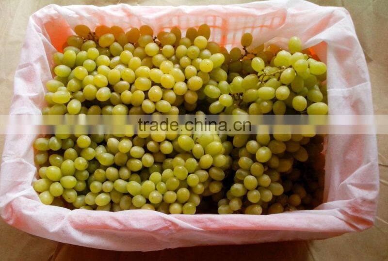 Guangzhou Junyu agriculture nonwoven fabric as a protection against heat loss in greenhouses and garden tunnels