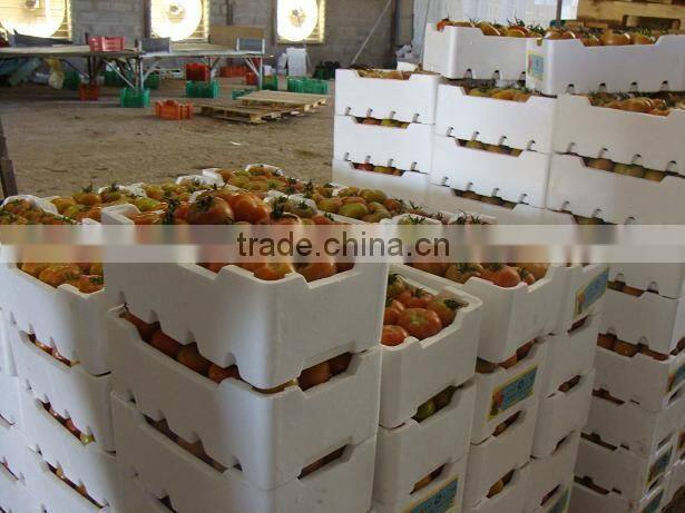 Flame Retardant EPS Material Expandable Polystyrene Styrofoam EPS Beads