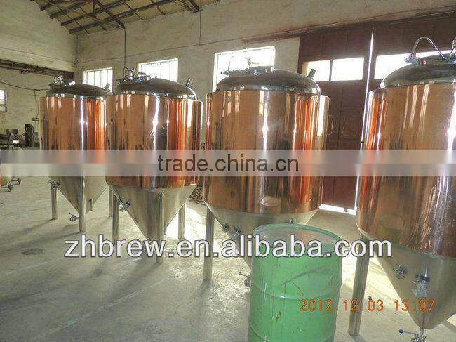 300L micro red copper beer brewing complete machine