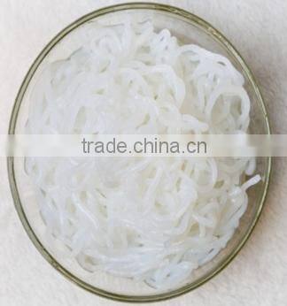 konjac pasta macaroni suppliers in bulk