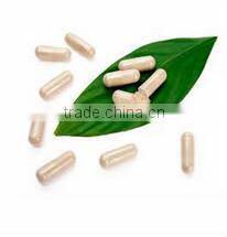 BNP Supply High Quality Radix Puerariae Soft Capsules/Kudzu root Capsules