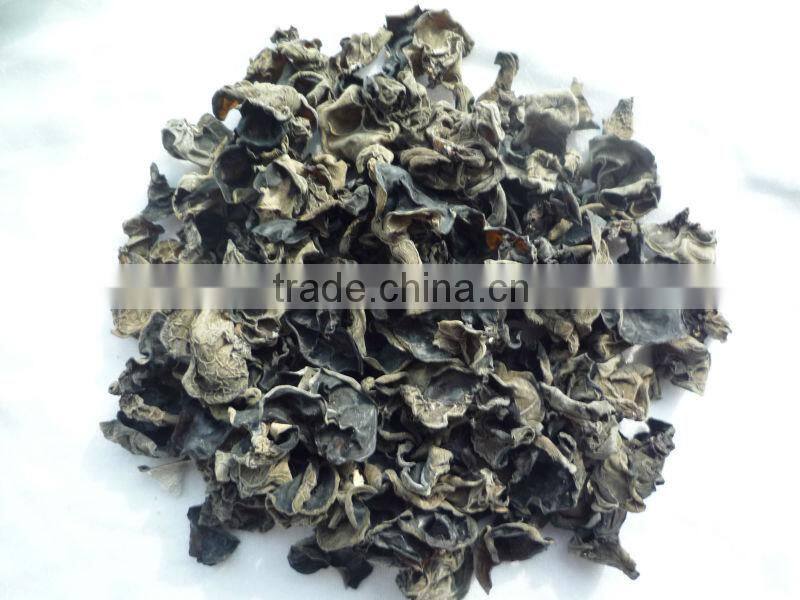 Dried well qualilty Black Fungus best price