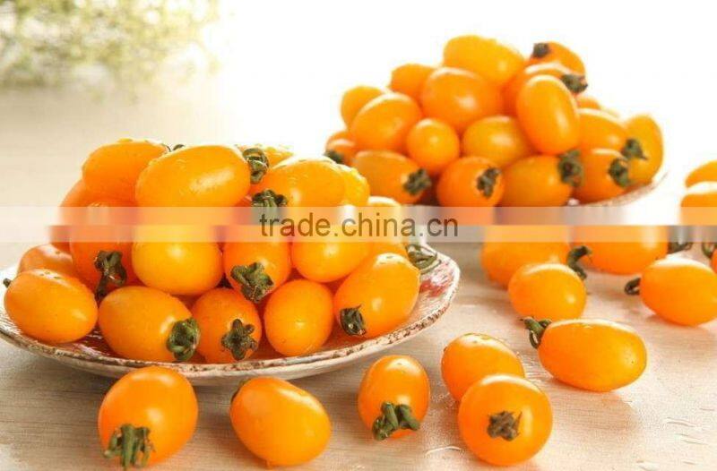 Yellow hybred seeds tomato seeds,best quality for greenhouse