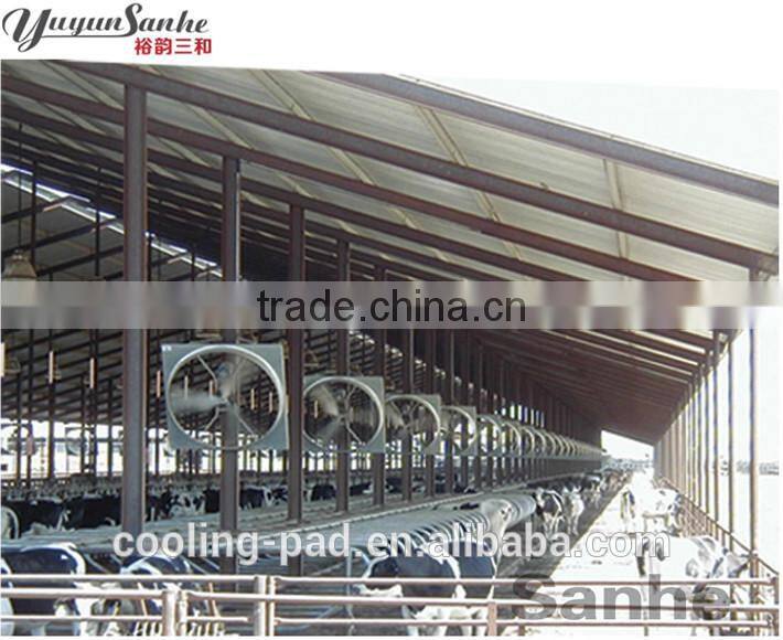 Dairy farming cows fan