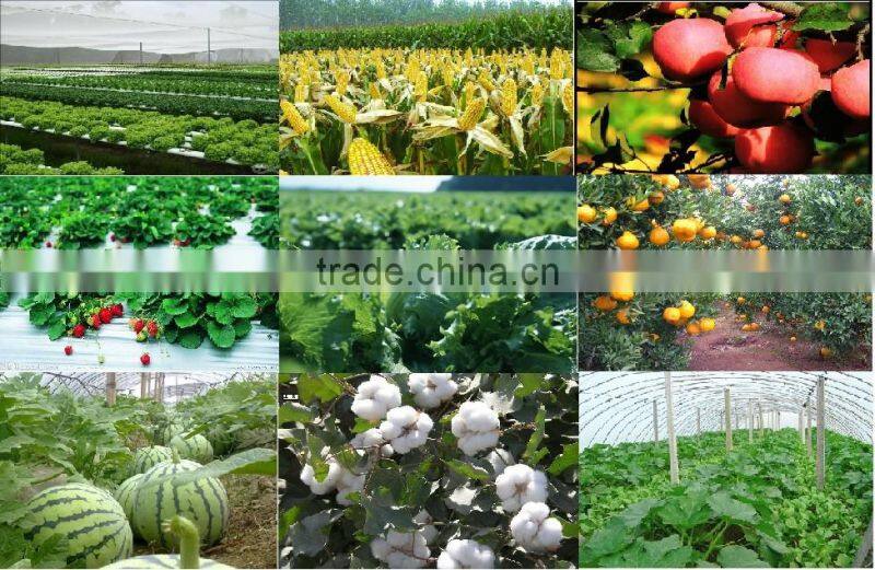 High grade leonardite potassium fulvate, potassium humate with fulvic acid shiny powder