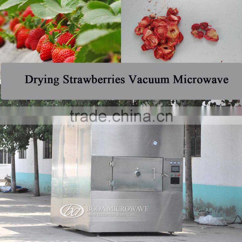 Drying Strawberries Vacuum Microwave