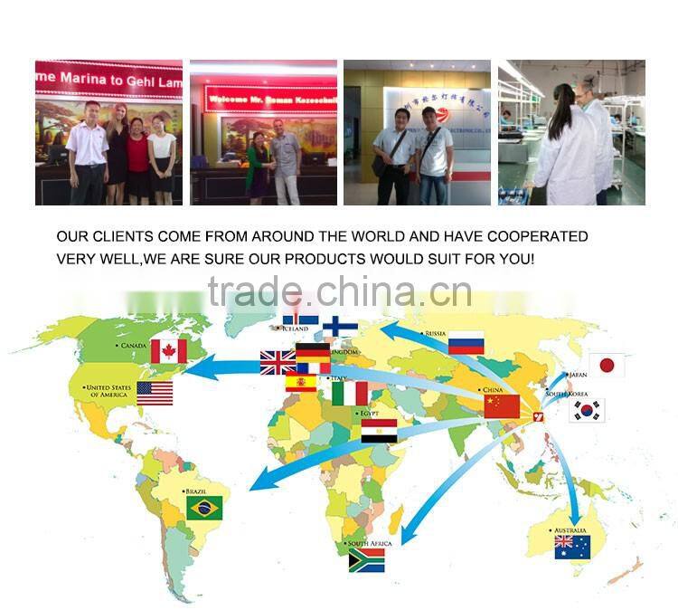 shenzhen high power 300 watt hydroponic grow light