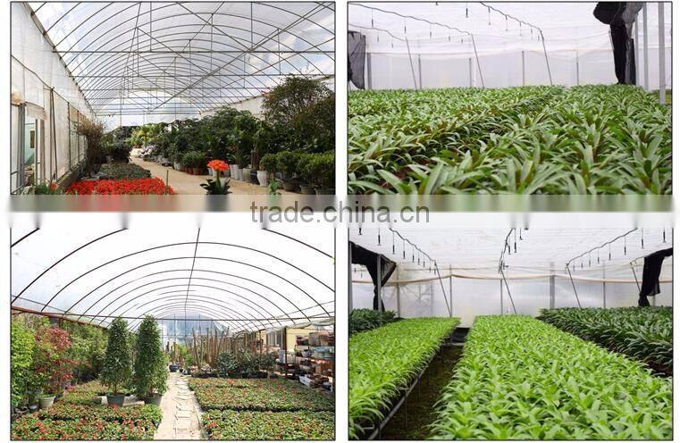 High tunnel plastic agricultural greenhouses for sale