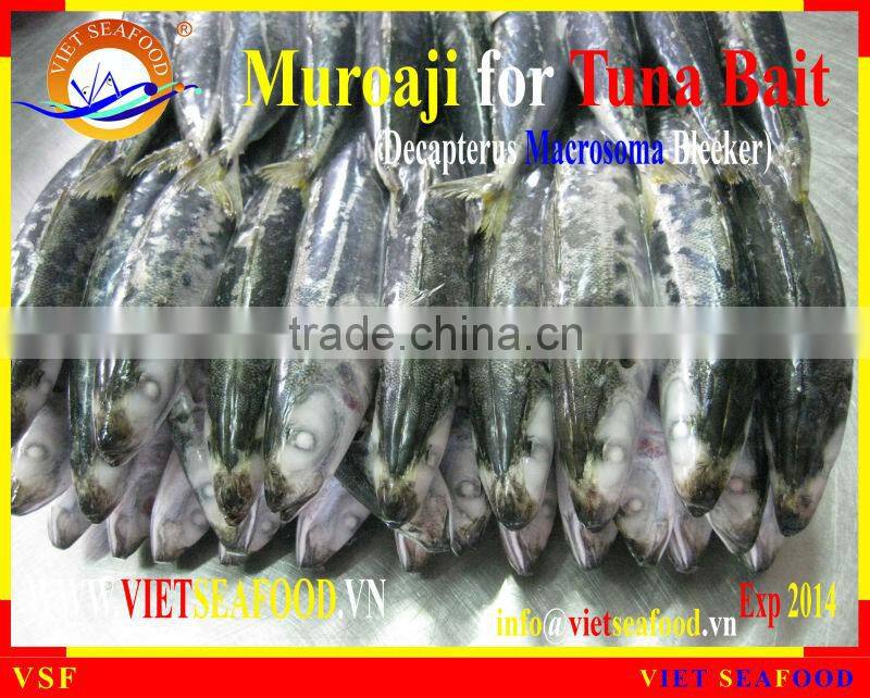 MUROAJI FOR TUNA BAIT FROZEN