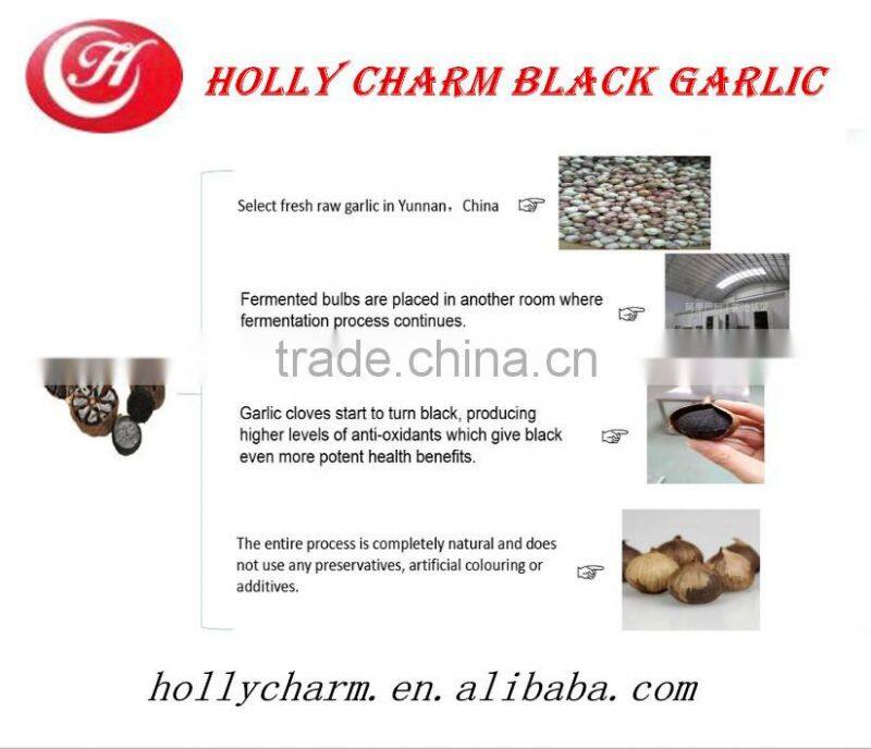 Korean Hot Sale Solo Black Garlic in selling