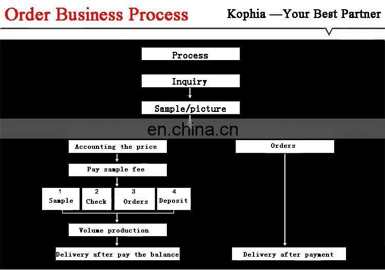 Women's Plus Size Lace Up Corset Lingerie with skirt