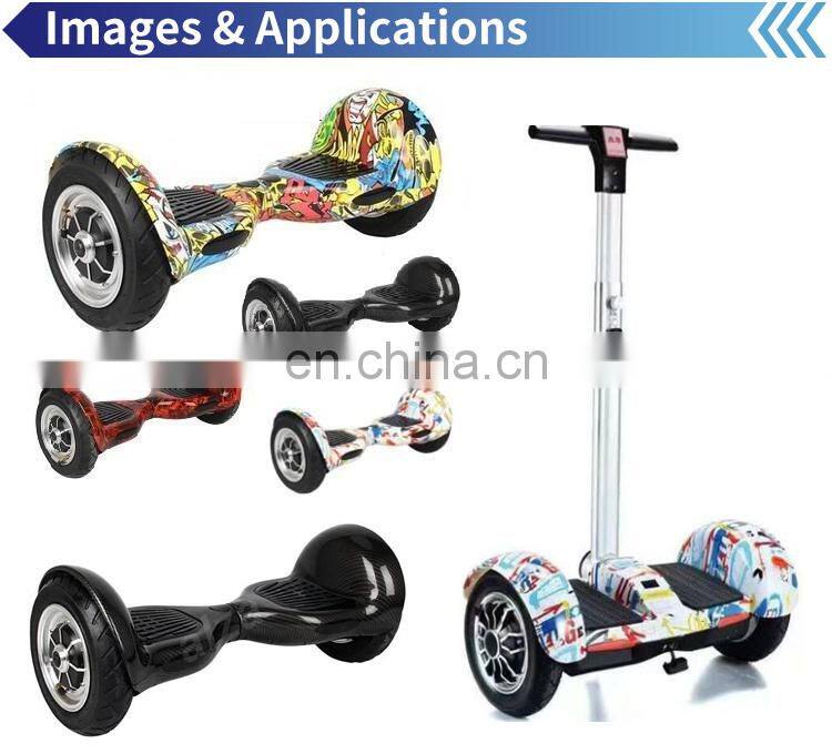 10 Inch 250W 350W 500W 800W Wheel Hub Motor