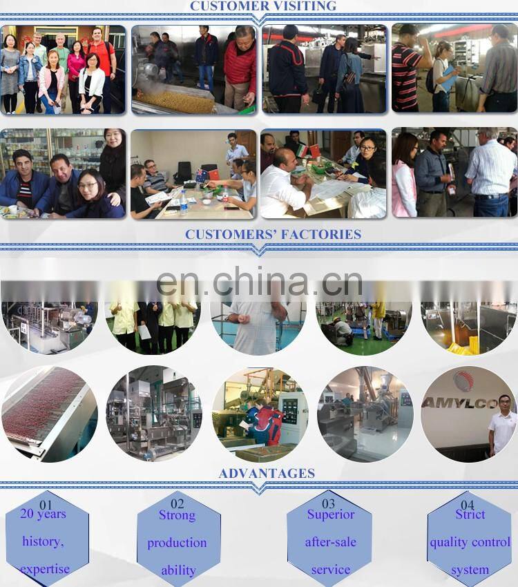 Top Quality China Suppliers Manufacturers Puff Snacks Making Machine Machines Equipment