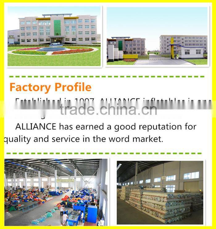 pterosaur inflatable fun city-inflatable large bouncer-2015 inflated castle