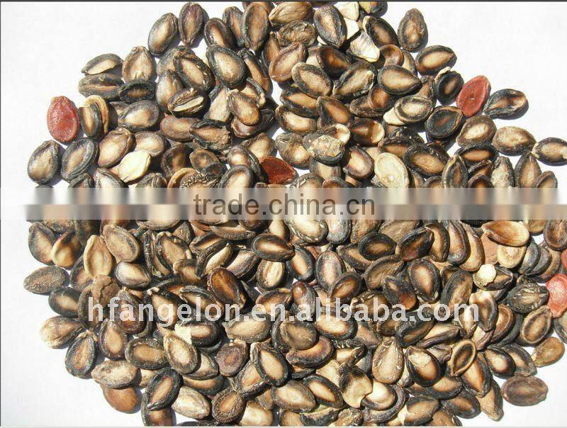 Watermelon Seed color sorting machine