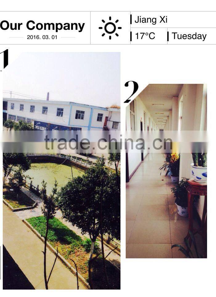 Factory supply high concentrated 70g-3KG CANNED TOMATO PASTE