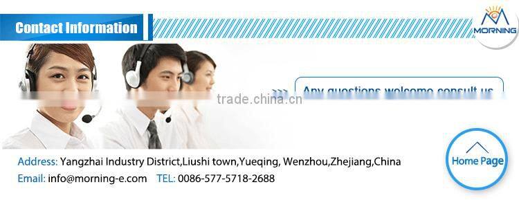 HTC-1 high quality LCDdisplay digital wireless hygrothermograph
