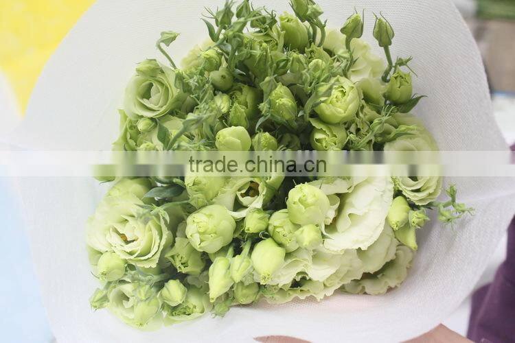 Alibaba china factory direct lisianthus flower