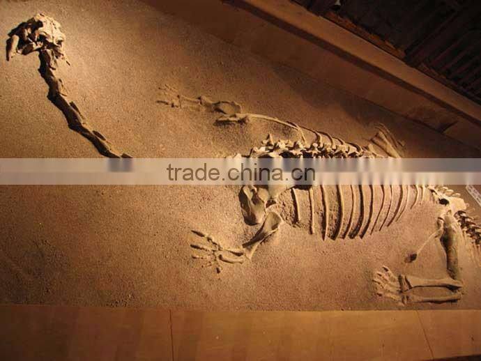 stegosaurus dinosaur fossils for sales