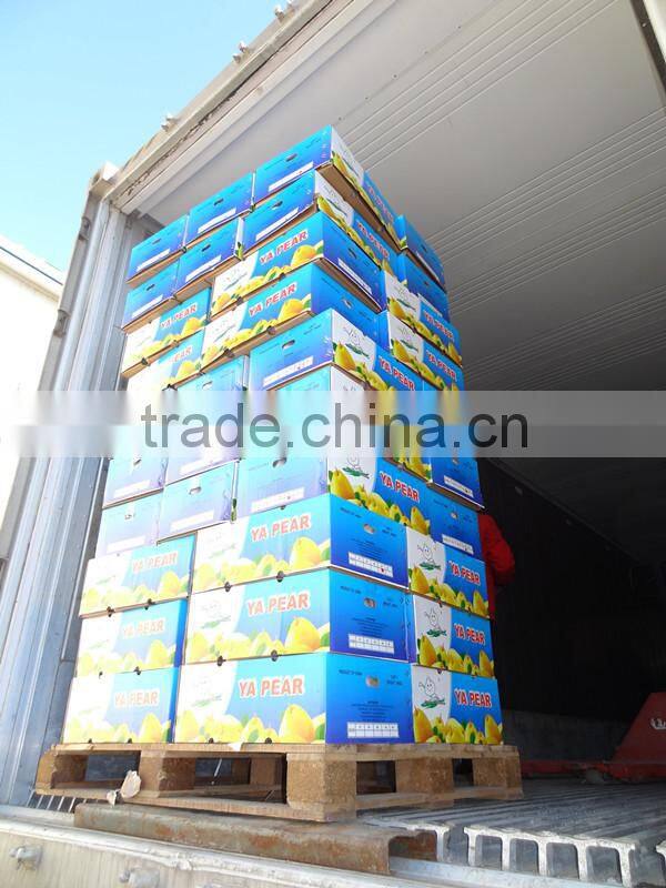 Ya Pear from BROTHER KINGDOM