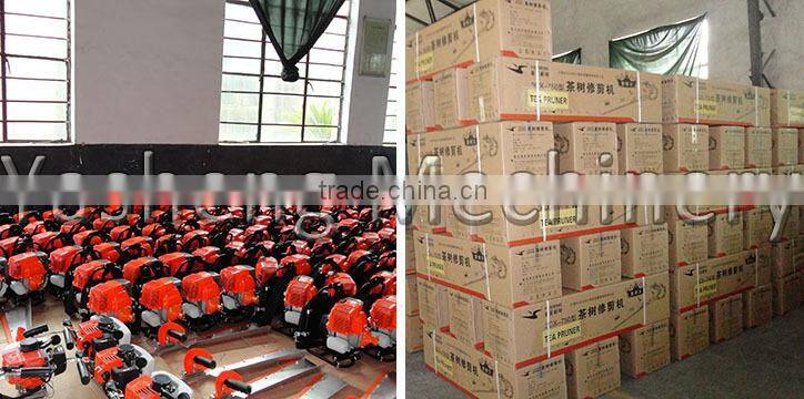 2-Stroke Feature and Petrol Power Type Hedge Trimmer