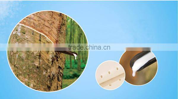 Spiky pillow bestselling in the Thailand